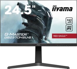 Iiyama 433314 kaina ir informacija | Monitoriai | pigu.lt