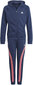 Sportinis kostiumas mergaitėms Adidas G Hooded Co Ts Blue GM8930 kaina ir informacija | Komplektai mergaitėms | pigu.lt