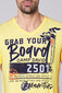 Marškinėliai vyrams Camp David, geltoni kaina ir informacija | Vyriški marškinėliai | pigu.lt