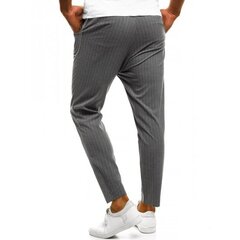 Kelnė vyrams цена и информация | Мужские брюки FINIS | pigu.lt