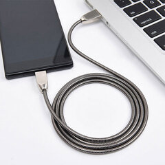 Кабель Somostel USB 10W BJ01, 1 м цена и информация | Кабели и провода | pigu.lt