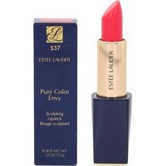 Губная помада E.Lauder Pure Color Envy Sculpting Lipstick цена и информация | Помады, бальзамы, блеск для губ | pigu.lt