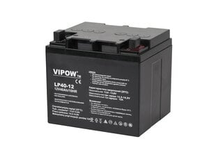 Свинцовый аккумулятор Vipow 12В 40Ач цена и информация | Аккумуляторы | pigu.lt