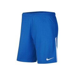 Шорты для мальчиков Nike League II Jr BV6863-463 цена и информация | Шорты для мальчиков Gulliver, серые милитари | pigu.lt