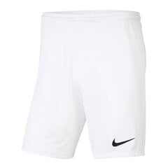 Мужские шорты Nike Brasil II M 264666-101 цена и информация | Мужские шорты | pigu.lt