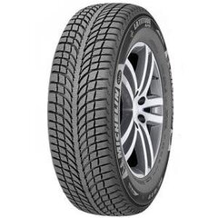 MICHELIN PILOT ALPIN 5 SUV 295/30 22 103W цена и информация | Зимние шины | pigu.lt