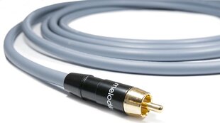 Kabel Melodika RCA (Cinch) - RCA (Cinch) 17m szary kaina ir informacija | Kabeliai ir laidai | pigu.lt