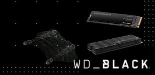 WD WDS400T3X0C                     цена и информация | Внутренние жёсткие диски (HDD, SSD, Hybrid) | pigu.lt