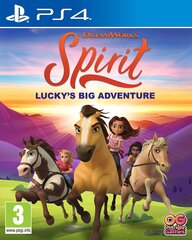 PS4 Spirit : Lucky's Big Adventure. цена и информация | Компьютерные игры | pigu.lt