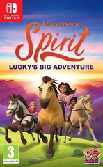 SWITCH Spirit: Lucky's Big Adventure. цена и информация | Компьютерные игры | pigu.lt