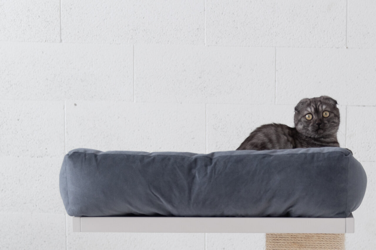 Guolis katėms Samana, šviesi kreminė kaina ir informacija | Guoliai, pagalvėlės | pigu.lt