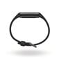 Fitbit Luxe, Black/Graphite FB422BKBK цена и информация | Išmaniosios apyrankės (fitness tracker) | pigu.lt