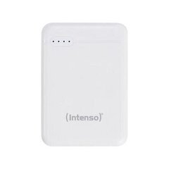 Запасной блок питания Intenso 7313552 цена и информация | Зарядные устройства Power bank | pigu.lt