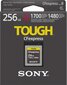 Sony CEBG256 kaina ir informacija | Atminties kortelės fotoaparatams, kameroms | pigu.lt