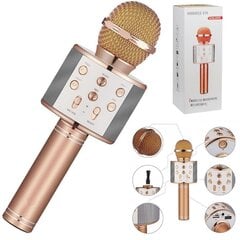 Karaoke mikrofonas su garsiakalbiu Hallo WS-858 Bluetooth kaina ir informacija | Lavinamieji žaislai | pigu.lt