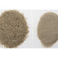 Aquael kvarcinis smėlis 0,4-1,2 mm, 2 kg kaina ir informacija | Akvariumo augalai, dekoracijos | pigu.lt