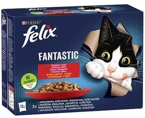Felix Fantastic jautienos, triušienos, ėrienos, vištienos skonio, 12x85 g kaina ir informacija | Konservai katėms | pigu.lt