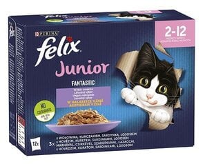 Felix Fantastic со вкусом говядины, курицы, сардины, лосося, 12х85г цена и информация | Консервы для кошек | pigu.lt