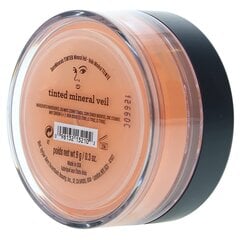 Минеральная пудра для лица BareMinerals Tinted Mineral Veil 41547627301, 9 г цена и информация | Пудры, базы под макияж | pigu.lt