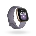Fitbit Versa 3, Soft Gold/Thistle kaina ir informacija | Išmanieji laikrodžiai (smartwatch) | pigu.lt