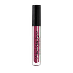 Skysti lūpų dažai Viva la Diva Velvet Matte, Macaroon, 15 ml kaina ir informacija | Lūpų dažai, blizgiai, balzamai, vazelinai | pigu.lt