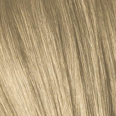 Plaukų dažai Schwarzkopf Igora Royal 10.0, 60 ml цена и информация | Краска для волос | pigu.lt