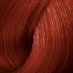 Plaukų dažai Wella Color Touch Vibrant Reds 66.44, 60 ml kaina ir informacija | Plaukų dažai | pigu.lt