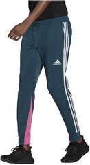 Adidas Брюки W Sp Lghtw Pant Green GL9537/S цена и информация | Мужские толстовки | pigu.lt