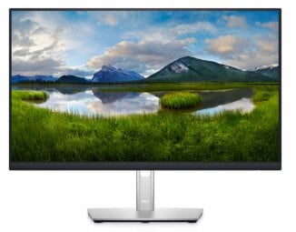 Dell P2422H, 23.8" kaina ir informacija | Monitoriai | pigu.lt