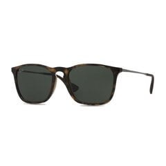 Солнцезащитные очки для мужчин Ray-Ban RB4195 601S9A цена и информация | Женские солнцезащитные очки | pigu.lt