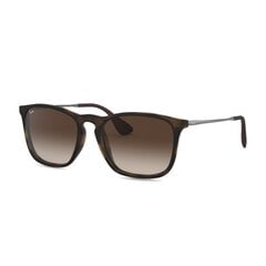 Солнцезащитные очки для мужчин Ray-Ban RB4195 601S9A цена и информация | Женские солнцезащитные очки | pigu.lt