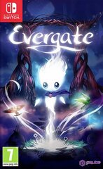 SWITCH Evergate цена и информация | Компьютерные игры | pigu.lt