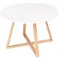 Modernus skandinaviškas kavos staliukas, 60cm kaina ir informacija | Virtuvės ir valgomojo stalai, staliukai | pigu.lt