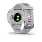 Garmin Forerunner® 55 White kaina ir informacija | Išmanieji laikrodžiai (smartwatch) | pigu.lt