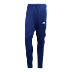 Sportinės kelnės vyrams Adidas CD8315 цена и информация | Мужская спортивная одежда | pigu.lt