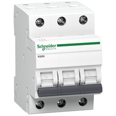 Modulinis Automatinis jungiklis Schneider Electric ,3P B ,10A ,6kA ,K60N kaina ir informacija | Elektros jungikliai, rozetės | pigu.lt