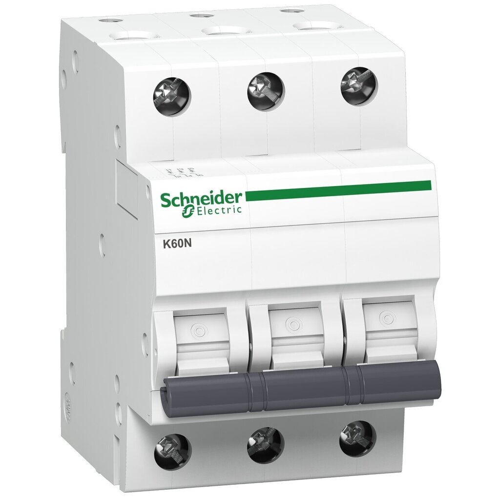 Modulinis Automatinis jungiklis Schneider Electric ,3P B ,10A ,6kA ,K60N kaina ir informacija | Elektros jungikliai, rozetės | pigu.lt