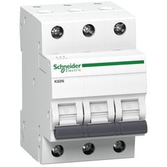 Modulinis Automatinis jungiklis Schneider Electric ,3P B ,16A, 6kA ,K60N kaina ir informacija | Elektros jungikliai, rozetės | pigu.lt