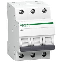 Modulinis automatinis jungiklis Schneider Electric 3P B ,40A, 6kA kaina ir informacija | Elektros jungikliai, rozetės | pigu.lt