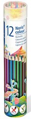 Spalvoti pieštukai Staedtler Noris colour 185, metalinėje apvalioje dėžutėje, 12 spalvų kaina ir informacija | Piešimo, tapybos, lipdymo reikmenys | pigu.lt