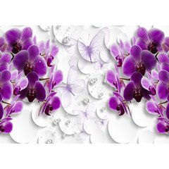 Fototapetai - Orchidėjos ir deimantai цена и информация | Фотообои с инструментом и клеем - Бежевые листья эвкалипта, 400x280 см | pigu.lt