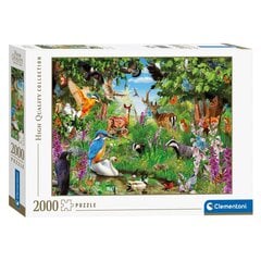 Dėlionė Clementoni Stebuklingas miškas, 2000 d. kaina ir informacija | Dėlionės (puzzle) | pigu.lt