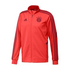Sportinis džemperis vyrams Adidas Bayern Munich DX9183, raudonas kaina ir informacija | Sportinė apranga vyrams | pigu.lt