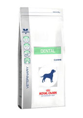 Royal Canin Dog dental suaugusiems šunims, 13 kg kaina ir informacija | Sausas maistas šunims | pigu.lt