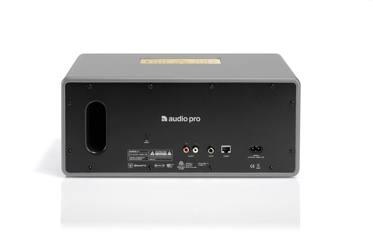 Audio Pro Drumfire D-1, pilka kaina ir informacija | Garso kolonėlės | pigu.lt