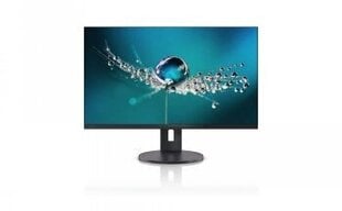 Fujitsu S26361-K1696-V160 kaina ir informacija | Monitoriai | pigu.lt