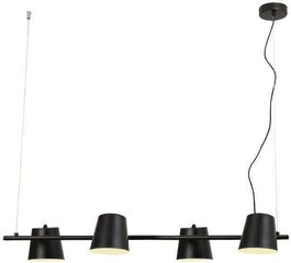 Подвесной светильник Ayran цена и информация | Подвесной светильник | pigu.lt
