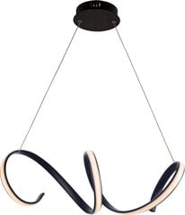 Подвесной светильник Cleo цена и информация | Подвесной светильник | pigu.lt