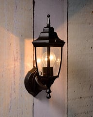 Наружный светильник Tireno Up цена и информация | Уличные светильники | pigu.lt