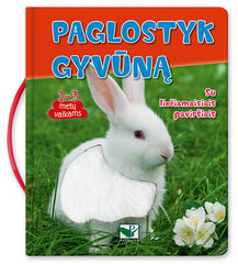 Paglostyk gyvūną цена и информация | Книги для детей | pigu.lt